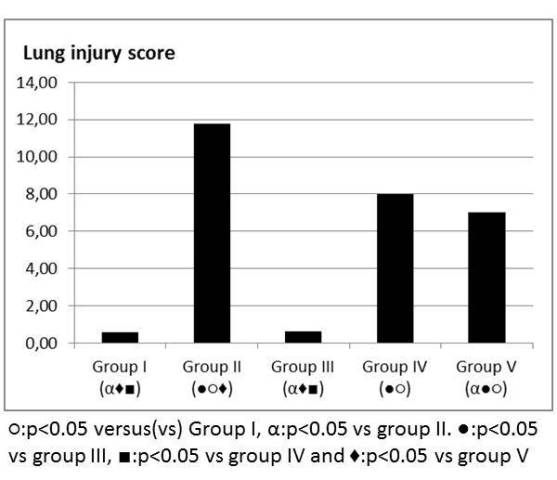 Figure 4: Lung injury score