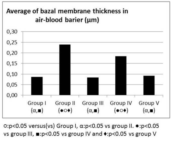 Figure 5: Average of basal membrane thickness in air-blood barrier (µm)